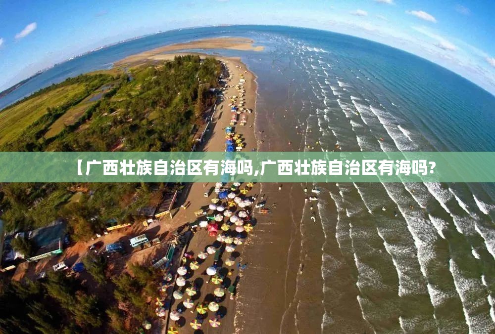 推荐一款八闽状元郎辅助软件原来真可以开挂