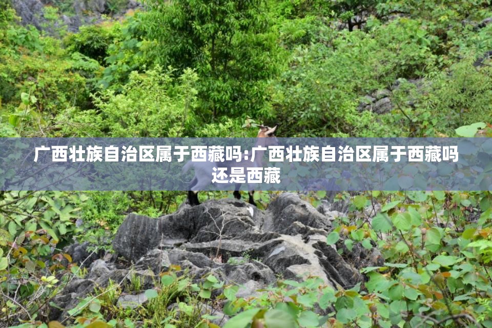 重磅.来袭“澳门新萄京能不能开挂”(真的有挂)-知乎