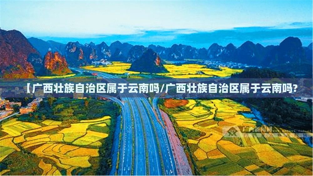 重磅.来袭微乐广西麻将可以装挂的果然有挂