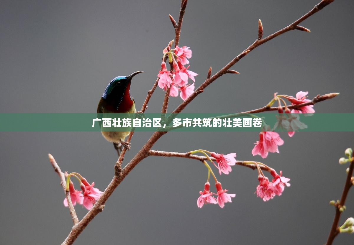 推荐一款领悟棋牌开挂!√必胜开挂神器 推荐一款领悟棋牌开挂!√必胜开挂神器