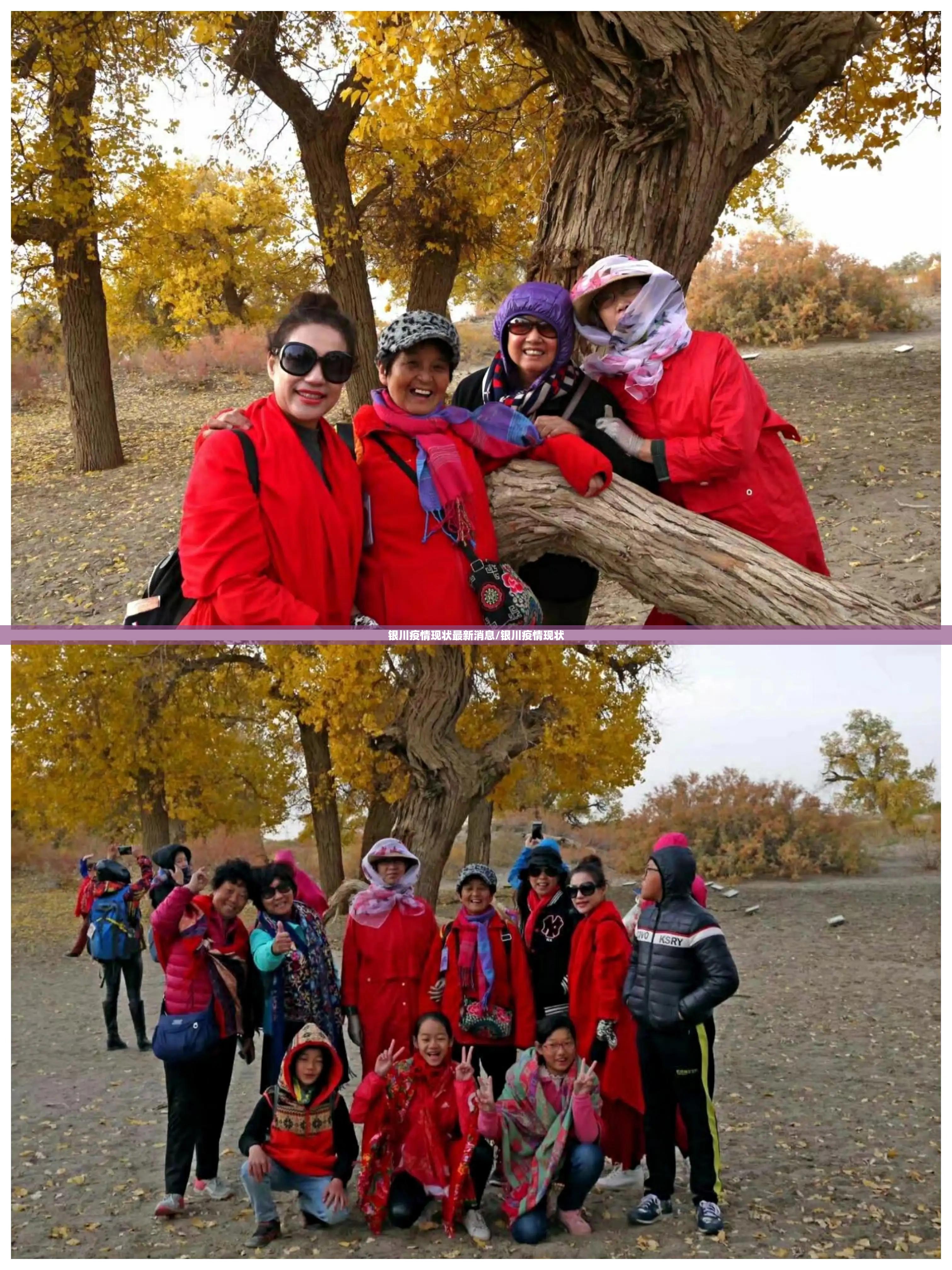 重磅.来袭葫芦鱼其实能开挂分享真的有挂给你