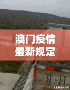 重大通报美猴王有没有挂确实有挂其实确实有挂
