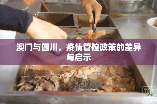 重大通报涡阳茶馆真的确实有挂原来真可以开挂