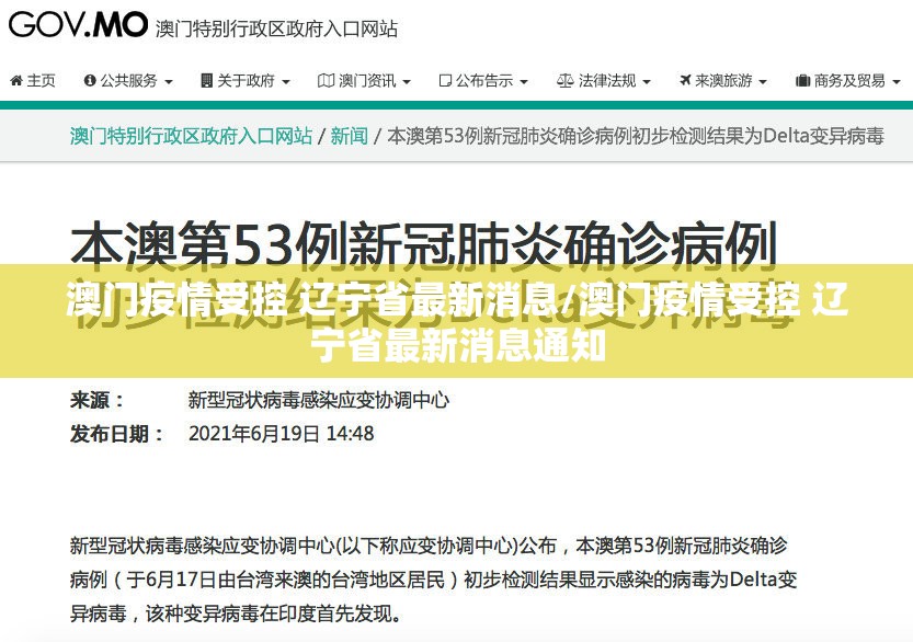 推荐一款忆游八张清确实有挂可以开挂2025（果然有挂）