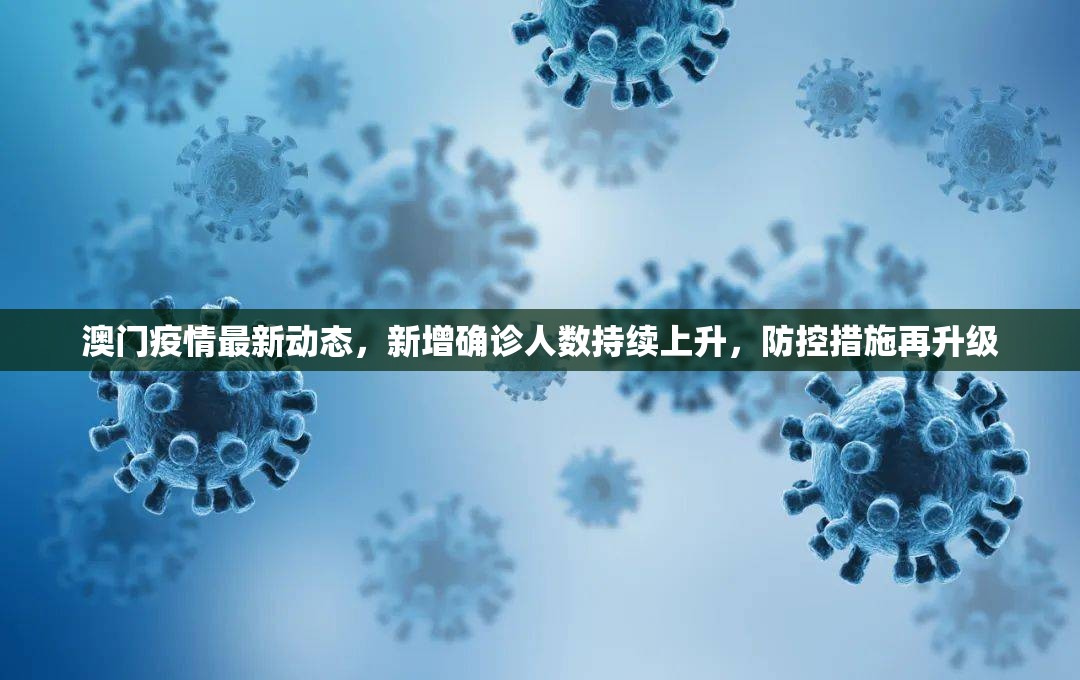 重磅.来袭老友记辅助透视软件(原来确实是有挂)