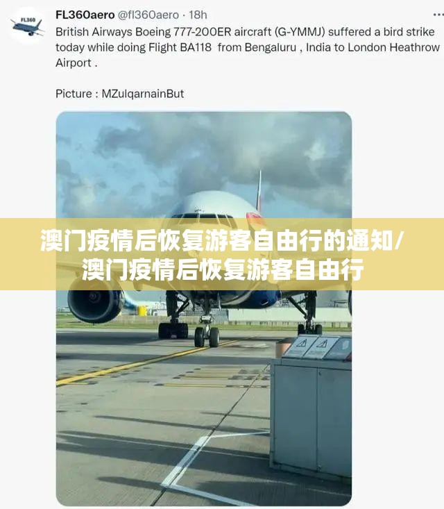 今日重大通报多乐跑胡子开挂下载安装√太坑了原来有挂 今日重大通报多乐跑胡子开挂下载安装√太坑了原来有挂