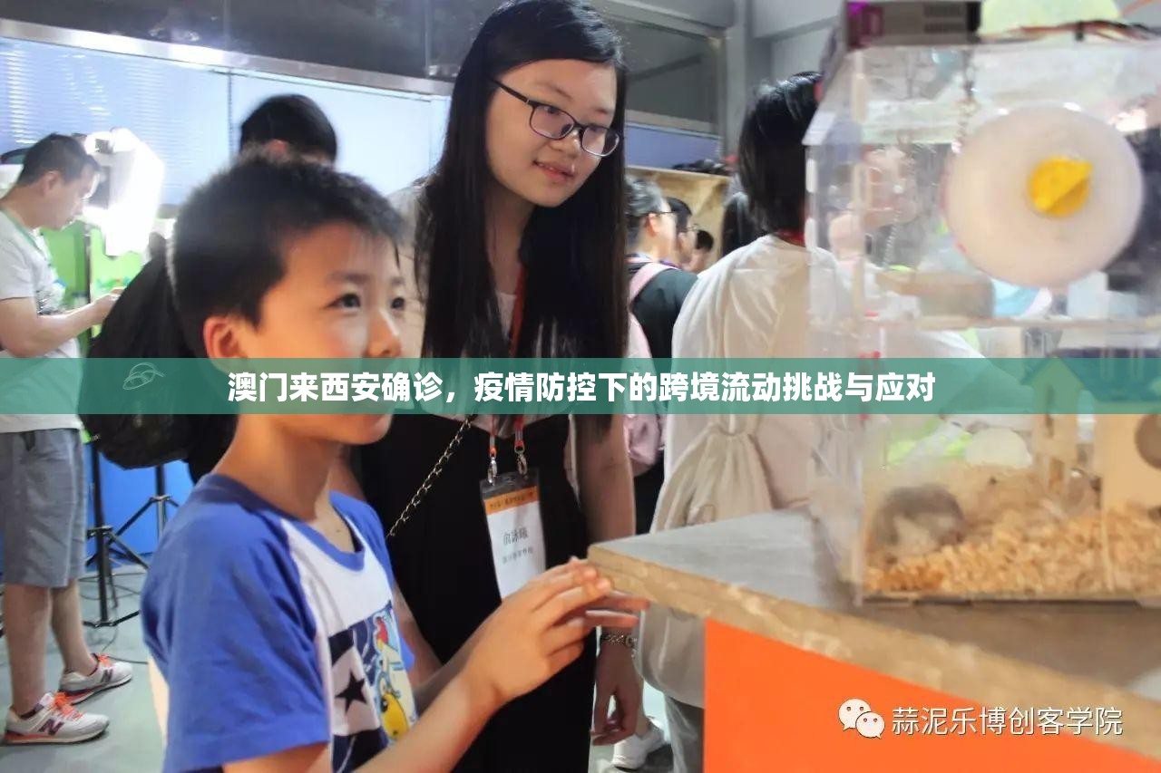 重磅.来袭开心十三张挂软件”开挂神器