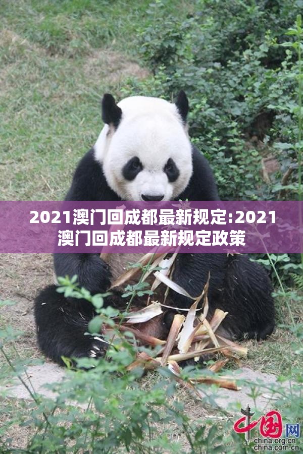 重大通报酷玩部落确实真的有挂√曝光透视猫腻