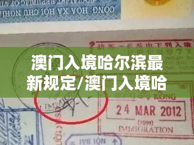 分享实测中至丰城麻将能不能开挂开挂神器