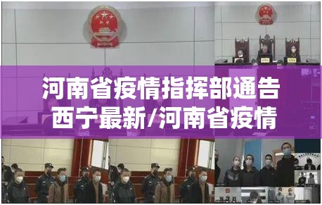 重磅.来袭金凌八居原来确实可以开挂其实真的确实有挂
