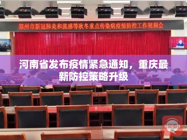 今日重大通报东阳四副牌有没有挂,确实有挂其实确实有挂
