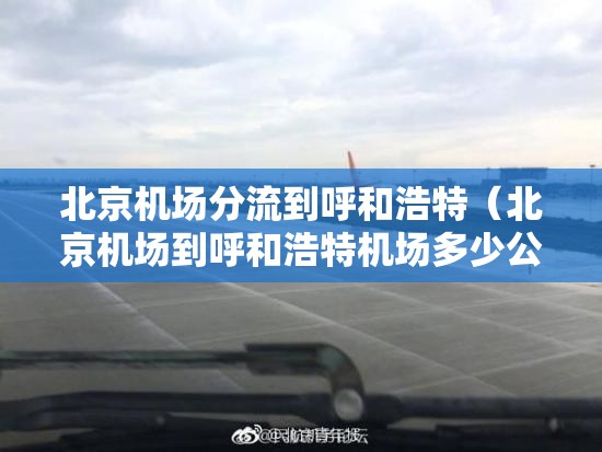 推荐一款牛大魔王有挂吗确实有挂原来真可以开挂