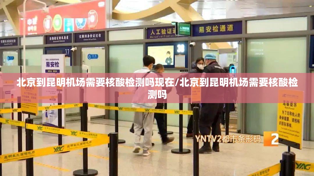 重磅.来袭美猴王确实有透视挂√曝光透视猫腻