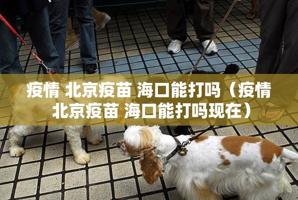 推荐一款闲雅棋牌必赢神器确实真的有挂