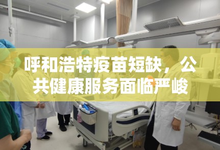 重磅.来袭新八戒怎么开挂可以开挂吗√其实是有挂