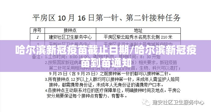 分享实测胜利必赢软件√太坑了原来有挂 分享实测胜利必赢软件√太坑了原来有挂