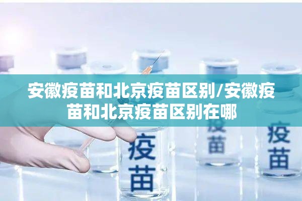 推荐一款“新八戒怎么开的挂”(原来确实是有挂)