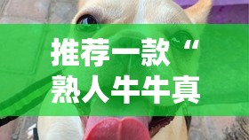 推荐一款莆仙微乐其实能开挂吗实测确实有挂