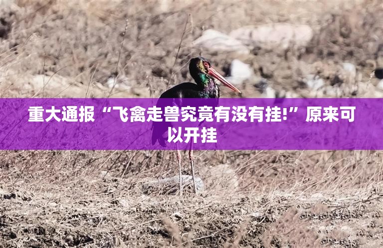 分享实测新广西老友麻将其实有挂确实真的有挂√其实是有挂
