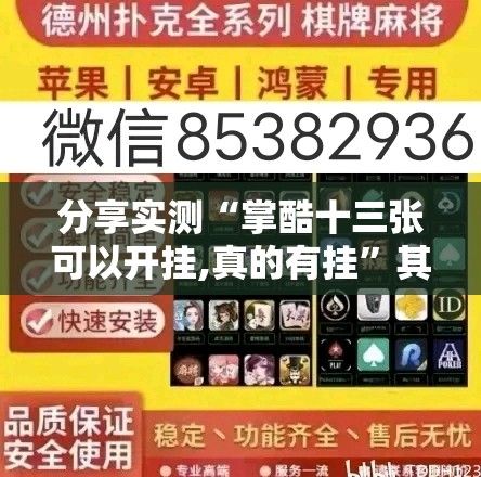 推荐一款新九天究竟有没有透视挂真的确实有挂 推荐一款新九天究竟有没有透视挂真的确实有挂