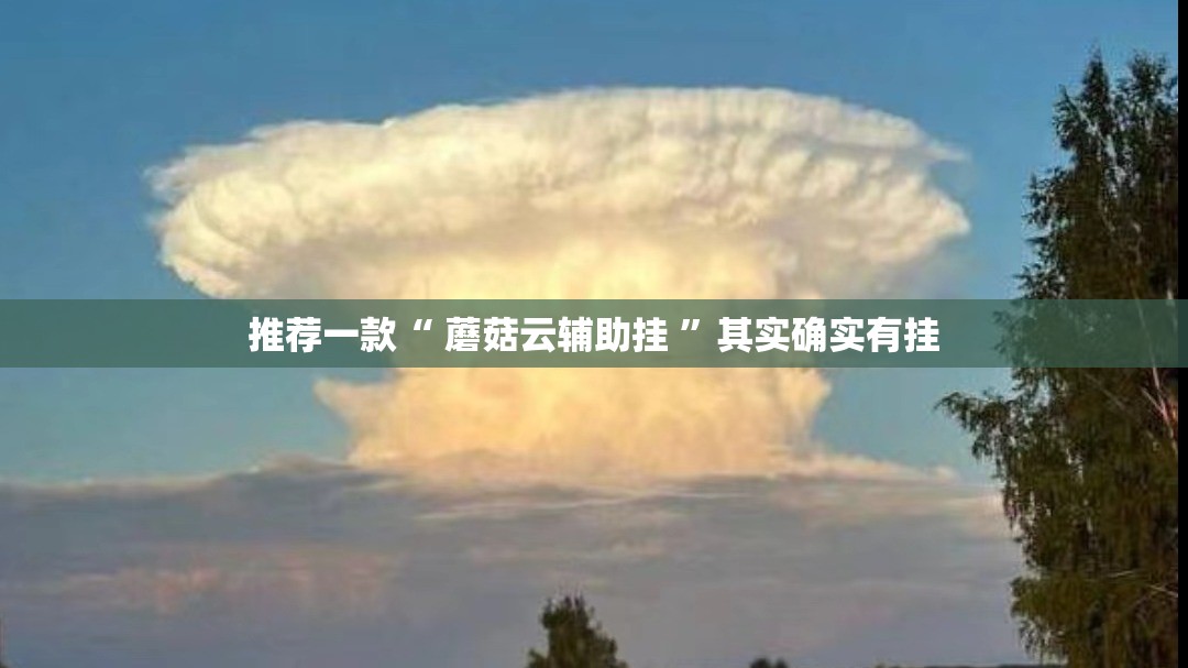 推荐一款“ 蘑菇云辅助挂 ”其实确实有挂