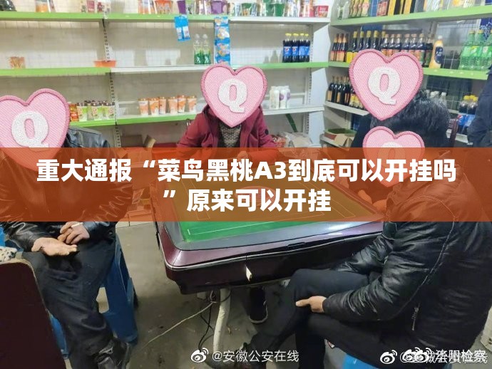 重大通报“菜鸟黑桃A3到底可以开挂吗”原来可以开挂