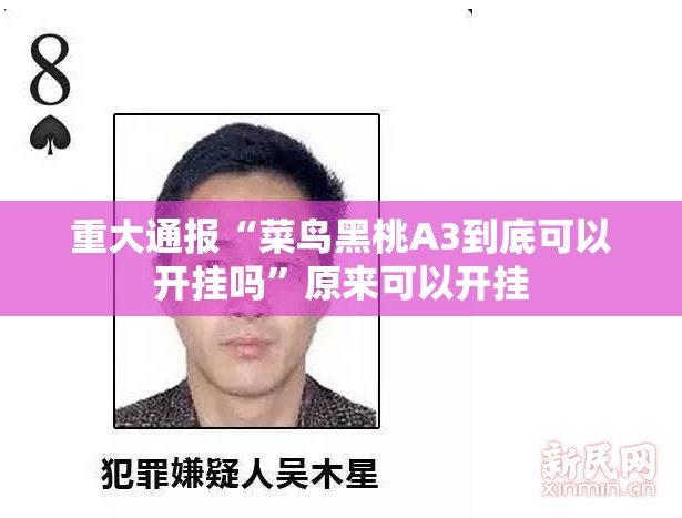 重大通报“菜鸟黑桃A3到底可以开挂吗”原来可以开挂