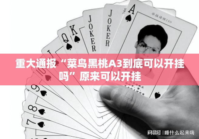 重大通报“菜鸟黑桃A3到底可以开挂吗”原来可以开挂