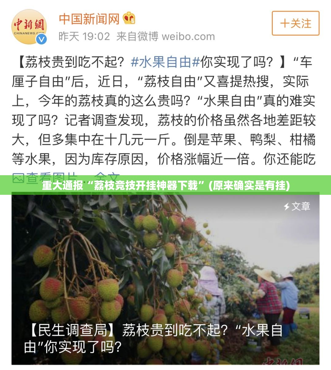 推荐一款新金龙怎么开挂呢(其实真的能开挂)