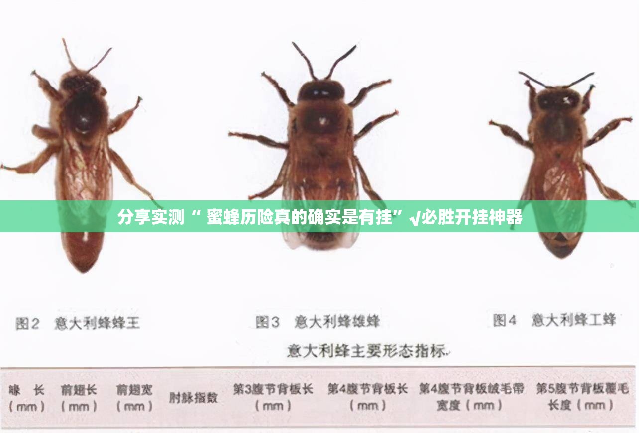 重磅.来袭“新八戒有没有透视挂”@太坑了真的有挂 重磅.来袭“新八戒有没有透视挂”@太坑了真的有挂