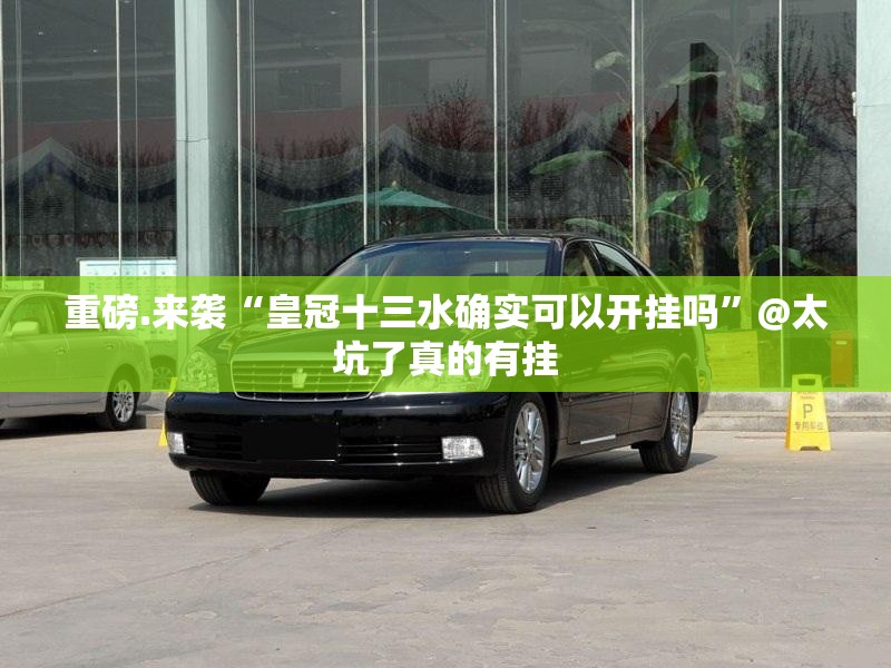 推荐一款翻阳翻精透视挂软件(其实真的能开挂)