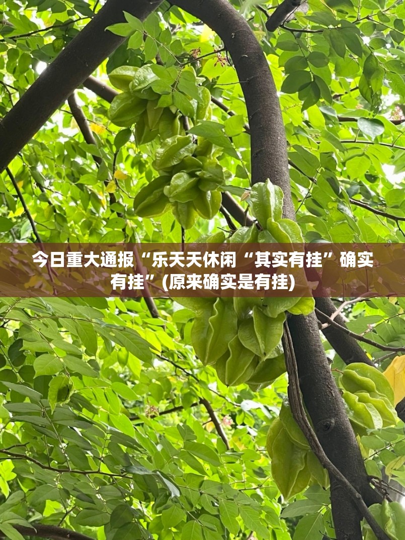 分享实测九九互娱怎么装挂其实确实有挂