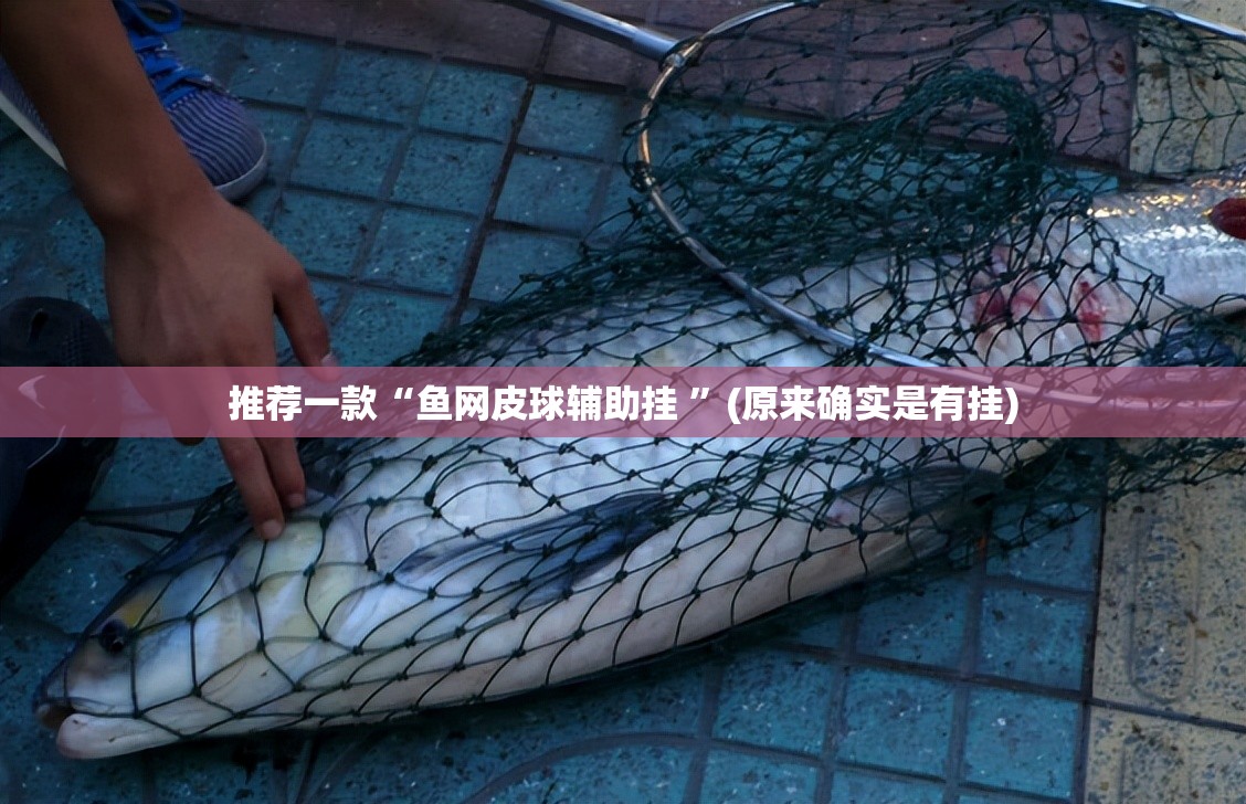 推荐一款“鱼网皮球辅助挂 ”(原来确实是有挂)