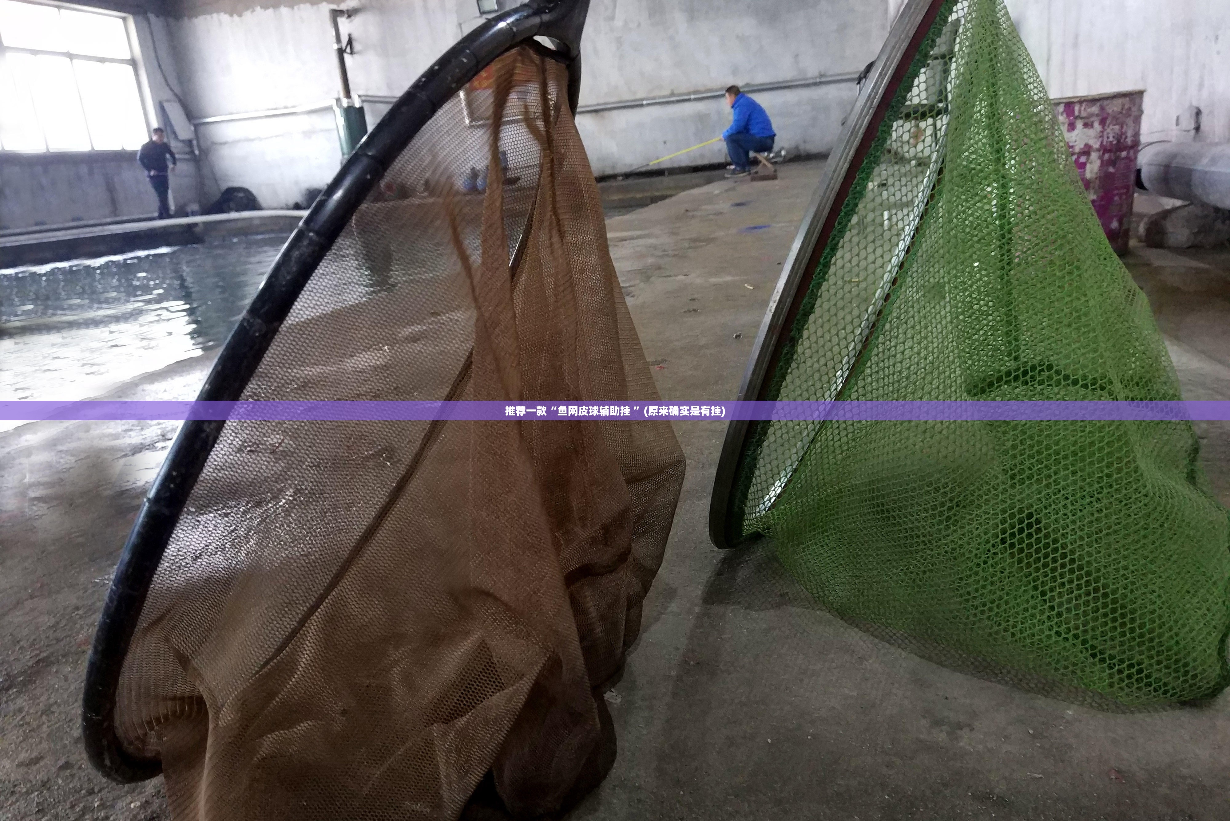 推荐一款“鱼网皮球辅助挂 ”(原来确实是有挂)