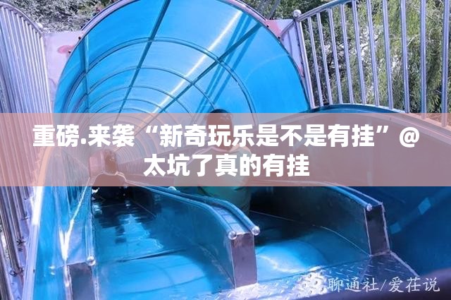 重大通报掌酷十三张怎么玩提高胜率(其实真的能开挂) 重大通报掌酷十三张怎么玩提高胜率(其实真的能开挂)