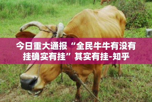 重磅.来袭麻辣竞技能开挂吗(确实有挂)