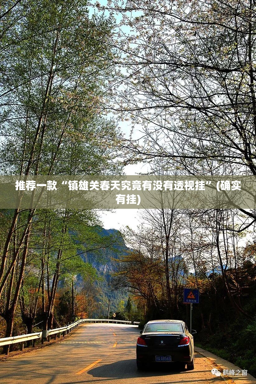 推荐一款“镇雄关春天究竟有没有透视挂”(确实有挂)