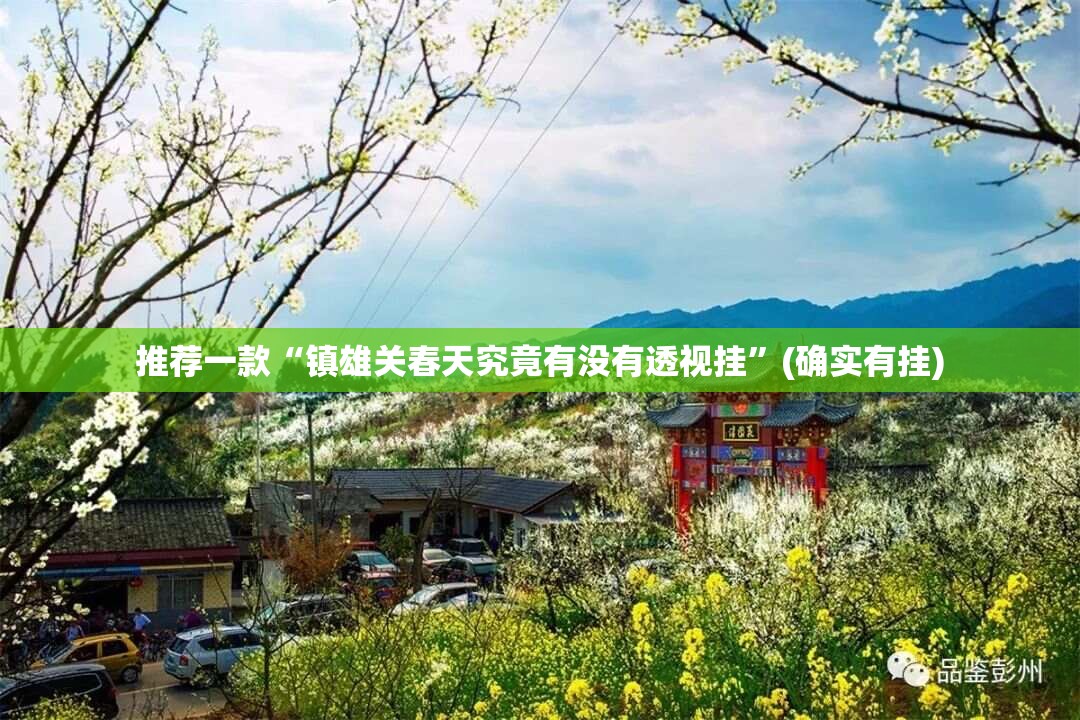 推荐一款“镇雄关春天究竟有没有透视挂”(确实有挂)