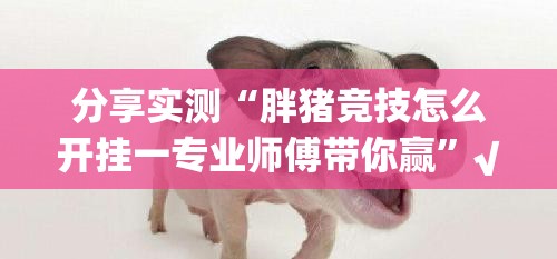 分享实测“胖猪竞技怎么开挂一专业师傅带你赢”√曝光透视猫腻