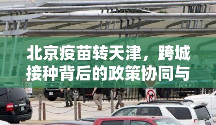 分享实测新灵心怎么开挂一专业师傅带你赢确实真的有挂