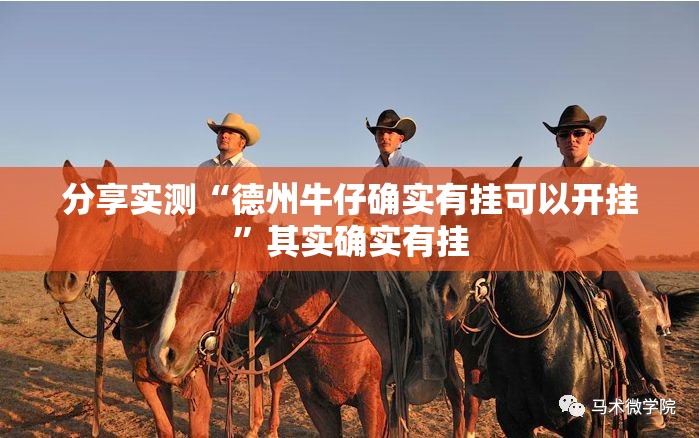推荐一款悠悠系列有挂是真的2025（果然有挂）