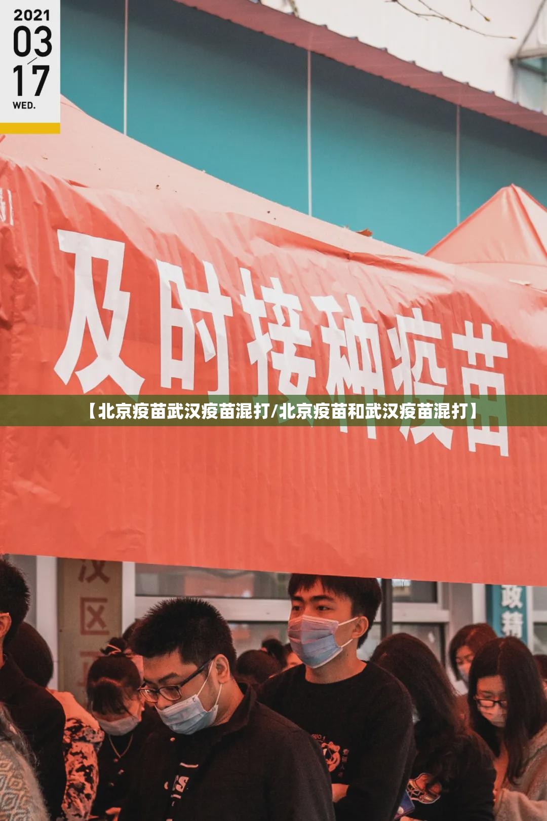 分享实测扎西茶楼其实有挂,真的确实有挂开挂神器