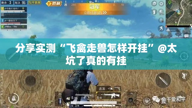 重大通报德友汇有没有挂,确实真的有挂真的确实有挂