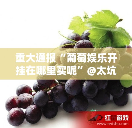 重大通报掌酷十三张有挂吗确实有挂真的确实有挂