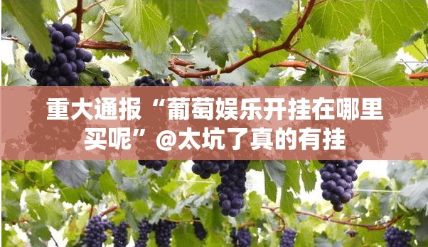 分享实测九九联盟如何开挂！详细开挂教程其实有挂-知乎