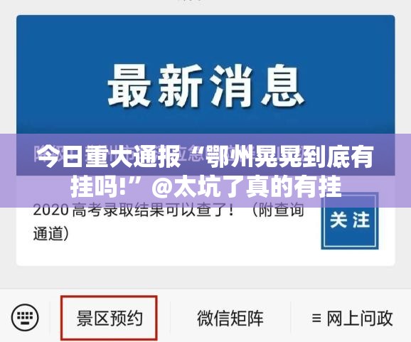 今日重大通报“鄂州晃晃到底有挂吗!”@太坑了真的有挂