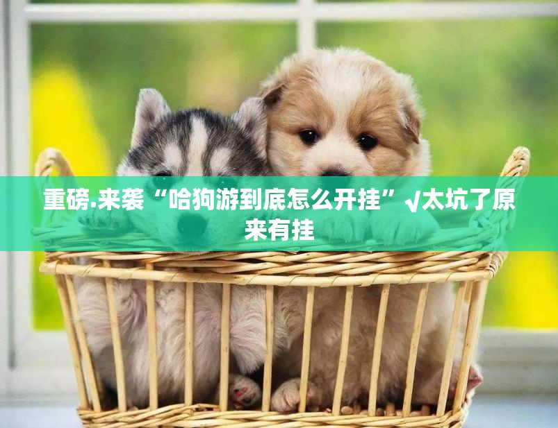 推荐一款“朋朋棋牌到底有没有挂确实有挂”2025(果然有挂) 推荐一款“朋朋棋牌到底有没有挂确实有挂”2025(果然有挂)