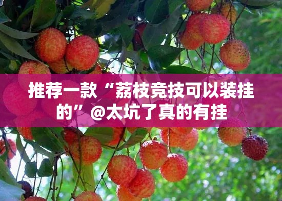 分享实测九九联盟如何开挂！详细开挂教程其实有挂-知乎