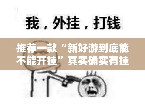 推荐一款“新好游到底能不能开挂”其实确实有挂