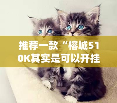 推荐一款熟人牛牛的确真的有挂(其实真的能开挂)